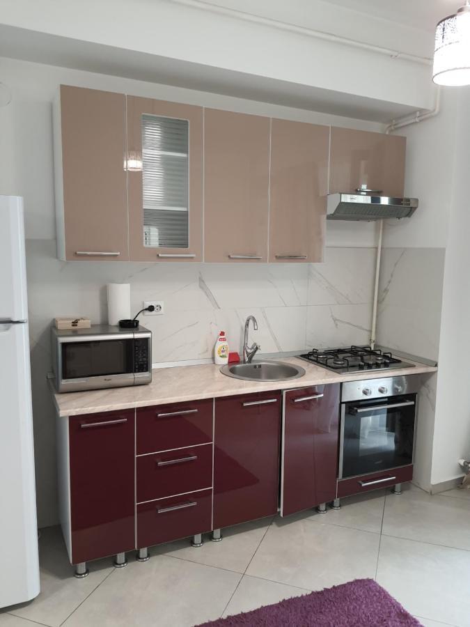 Center Apartments Iasi Exterior photo